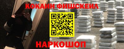 индика Гусев