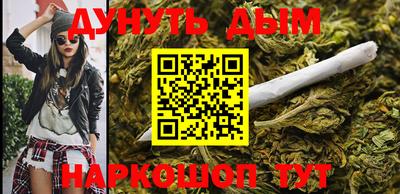 индика Гусев
