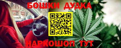 индика Гусев