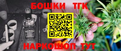 индика Гусев