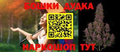 индика Гусев