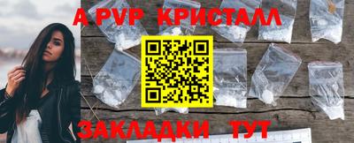 индика Гусев