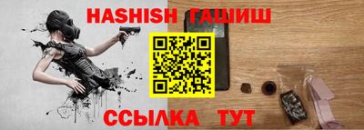 индика Гусев