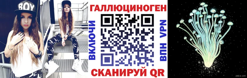 Галлюциногенные грибы Cubensis  блэк спрут   Канаш  купить  цена 