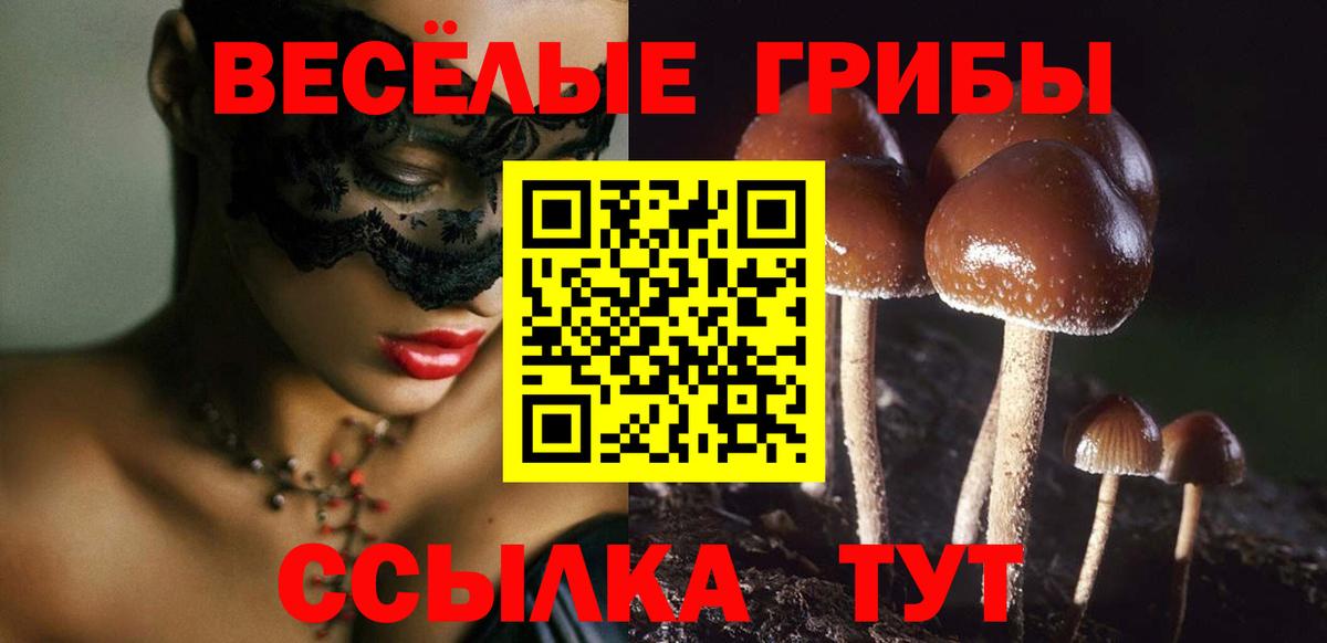А ПВП Канаш