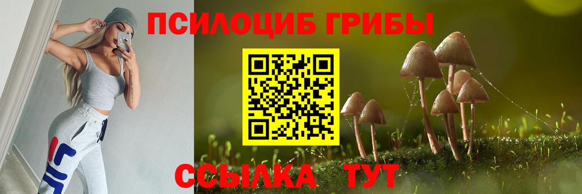 Псилоцибиновые грибы мухоморы Канаш